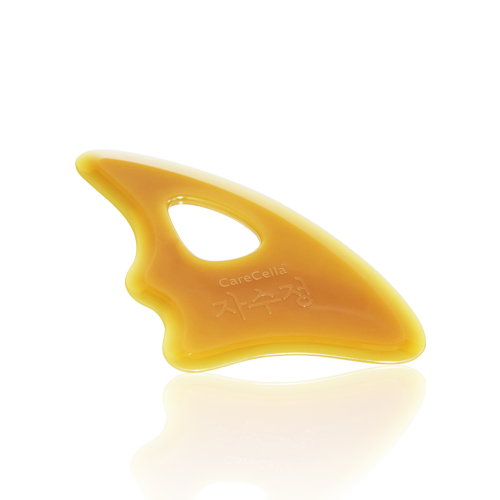 CareCella Amethyst Gwalsa Plate